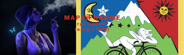 хмурый Магас