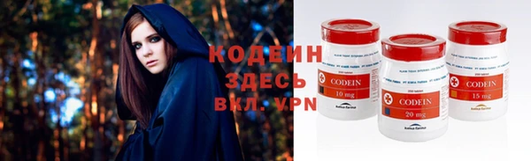 хмурый Магас