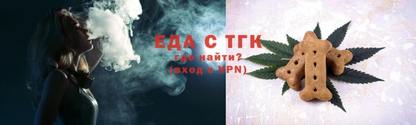 хмурый Магас