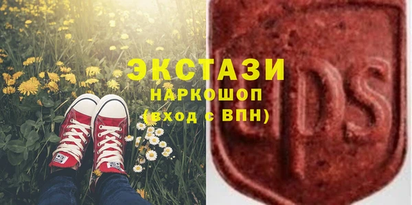 ECSTASY Бородино