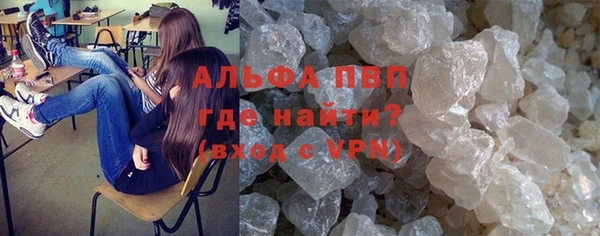 молекула духа Медвежьегорск