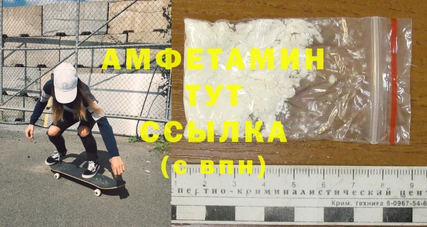 хмурый Магас
